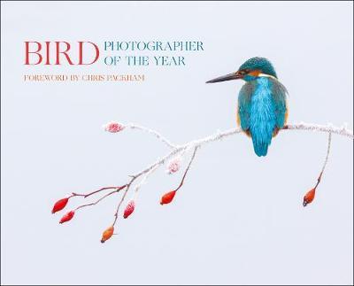 Bird Photographer of the Year: Collection 2