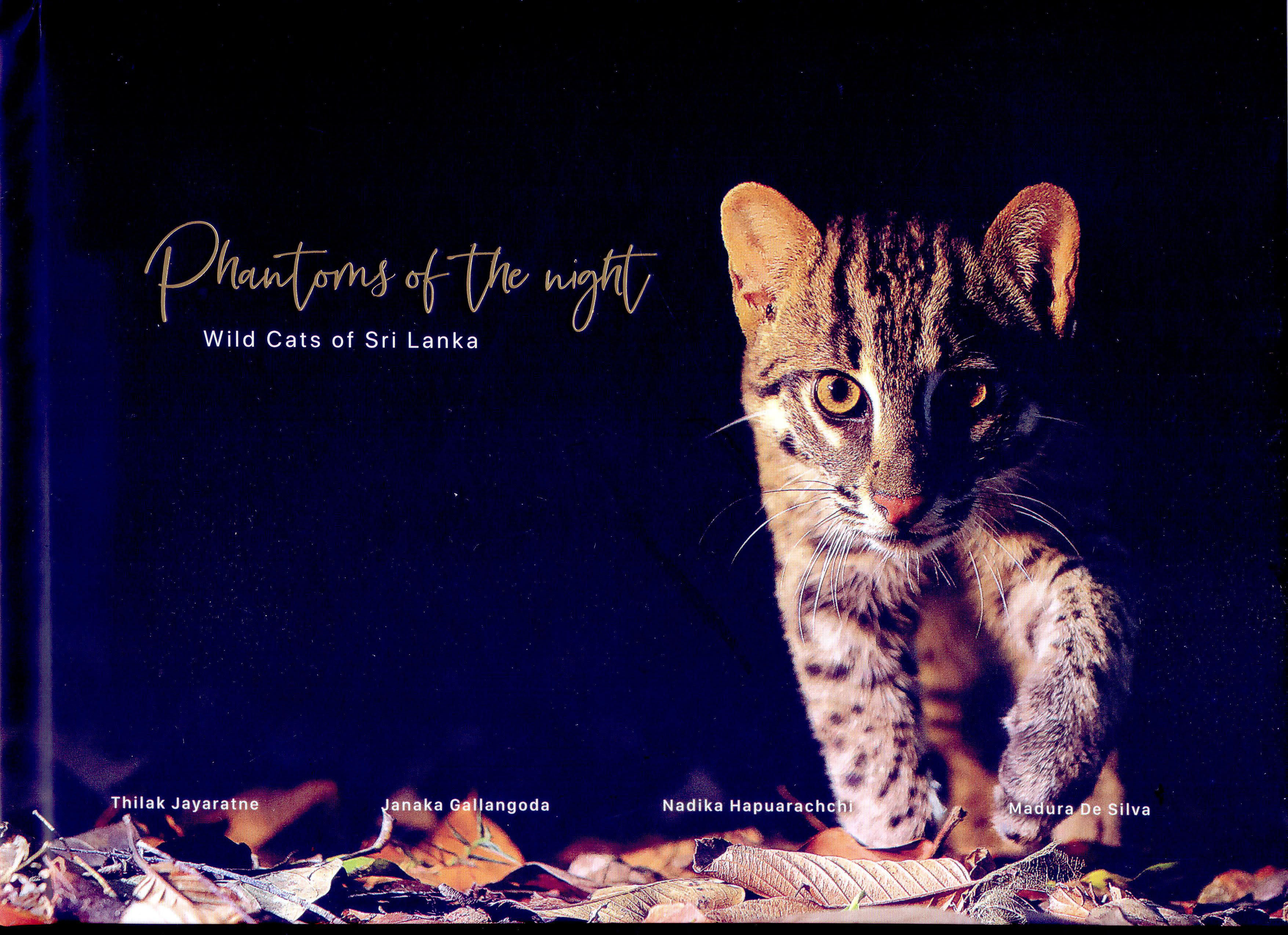 Phantoms Of The Night - Wild Cats Of Sri Lanka