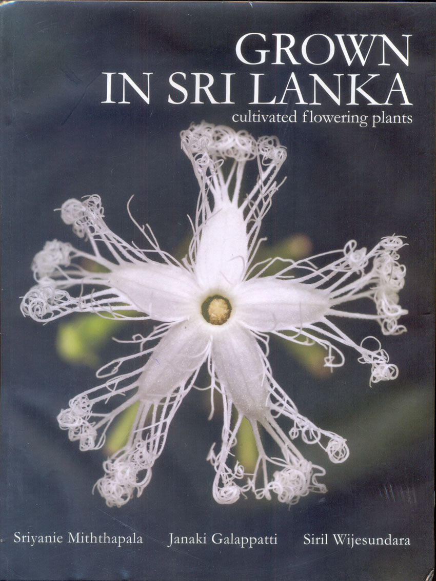 Grown In Sri Lanka : Cultivated Flowering Plants